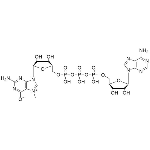M7-GpppA.png M7-GpppA.png