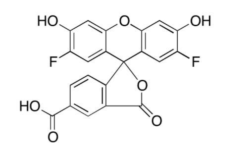 195136-52-8.jpeg 195136-52-8.jpeg