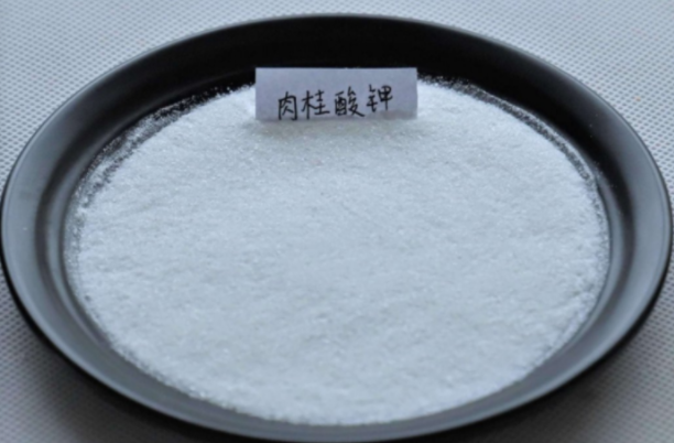 肉桂酸钾 16089-48-8 食品防腐剂