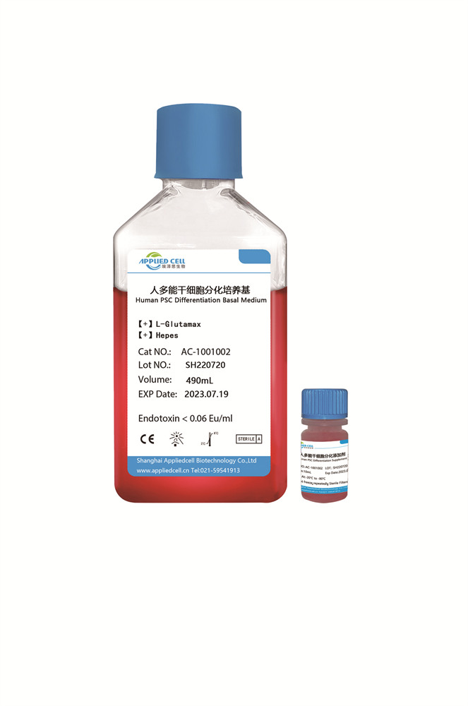 人多能干细胞分化培养基