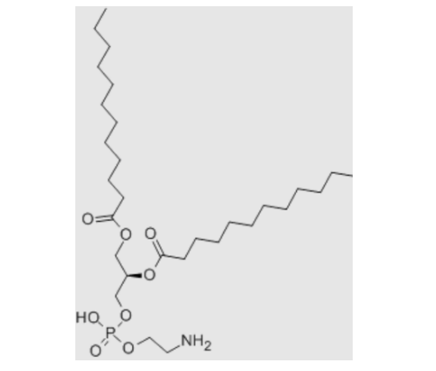 1,2-二月桂酰磷脂酰乙醇胺