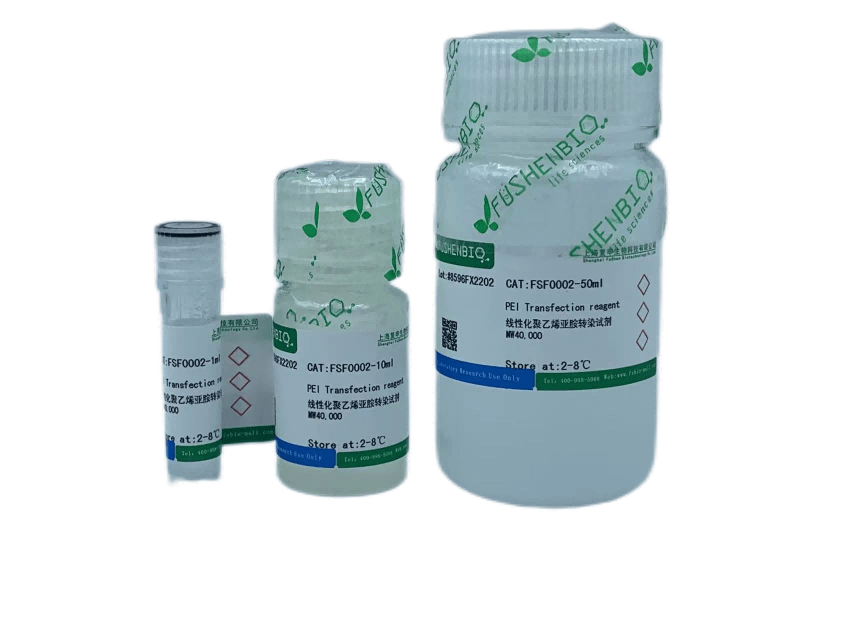 PEI转染试剂;线性聚乙烯亚胺PEI；线性PEI