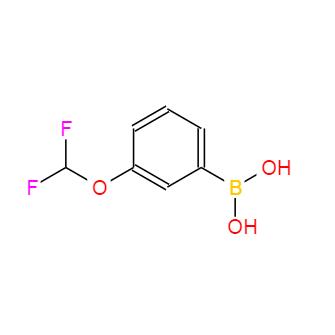 间二氟甲氧基苯硼酸