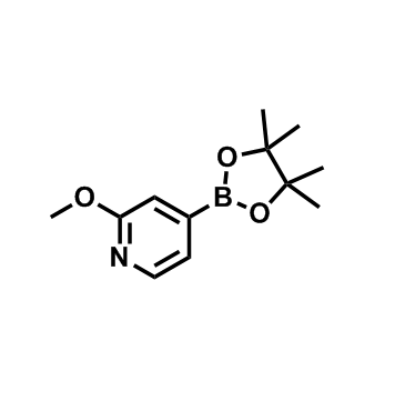 2-甲氧基吡啶-4-戊酰硼酸