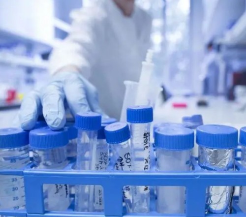 BNIP3 Antibody生产供应商艾普蒂生物
