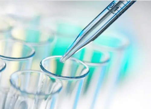 FTL Antibody 生产供应商艾普蒂生物