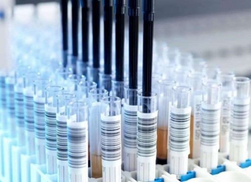 ACOX1 Antibody 生产供应商艾普蒂生物