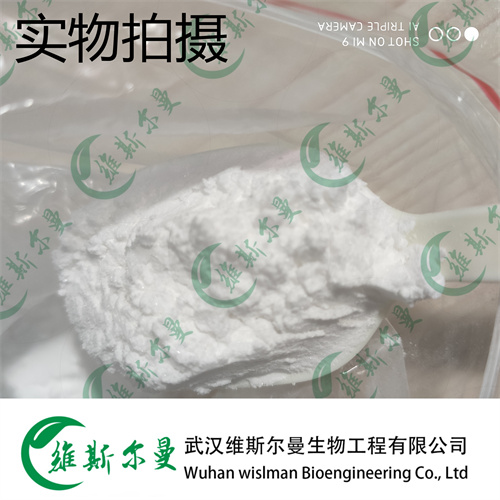 奥拉帕利；奥拉帕尼 763113-22-0 维斯尔曼生物现货 13419635609