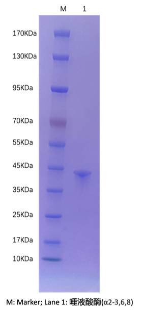 图片6.png 图片6.png