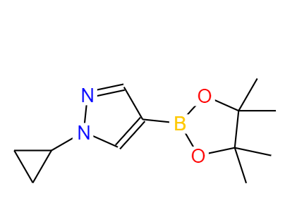 1-环丙基吡唑-4-硼酸片呐醇酯 厂家供货 质优价廉 欢迎垂询