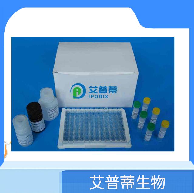人 MX1蛋白生产供应商 艾普蒂生物