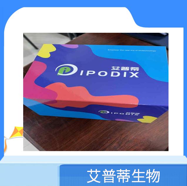 人 CIRBP 蛋白生产供应商艾普蒂生物