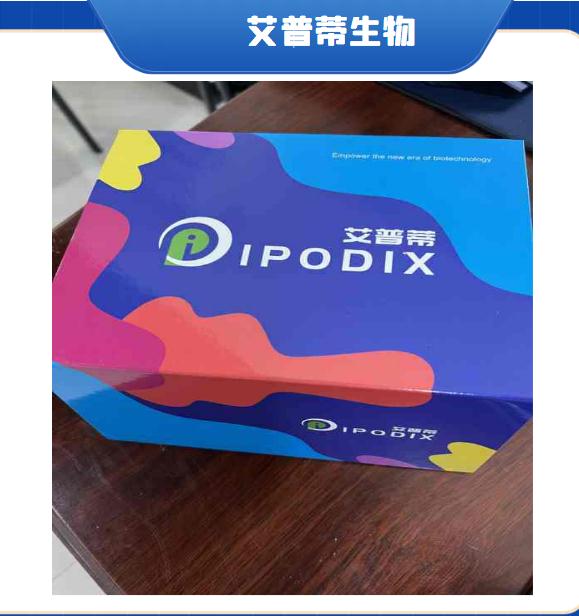 人 CLIC1 蛋白生产供应商艾普蒂生物