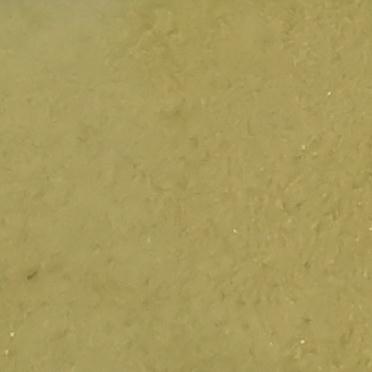 米非司酮鼎信通厂家现货