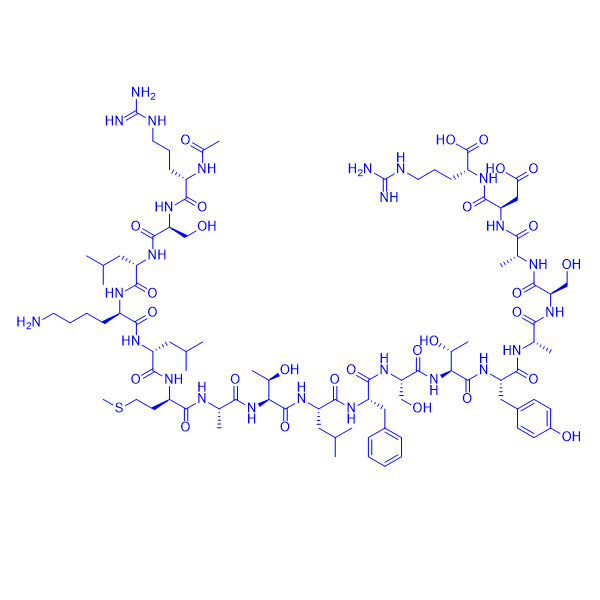 α-肌球蛋白重链肽片段肽/Myosin H Chain Fragment,mouse