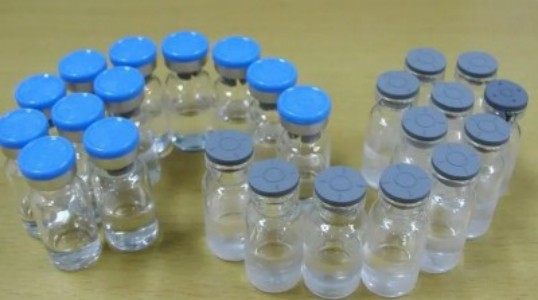 重组 人RP9 蛋白 生产供应商 艾普蒂生物