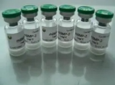 重组 人RPS3A 蛋白 生产供应商 艾普蒂生物