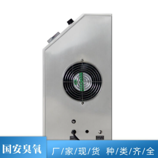 臭氧发生器 不锈钢台式臭氧污水处理 国安臭氧 全自动运行