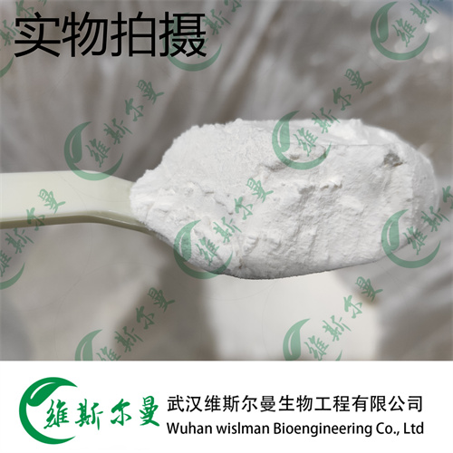 氯唑西林钠；邻氯青霉素钠 7081-44-9 维斯尔曼生物高纯试剂 13419635609