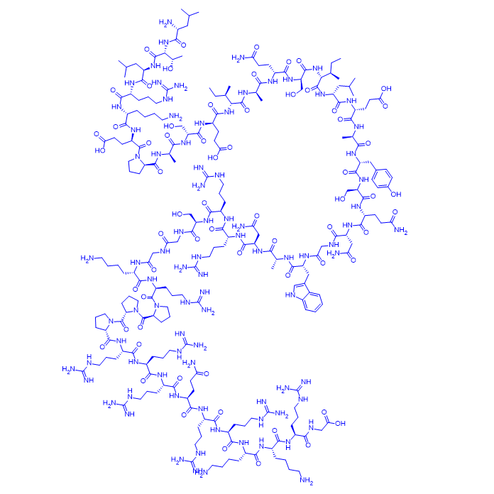 抗衰肽FOXO4-DRI/fox04-DRI/上海鸿肽生物