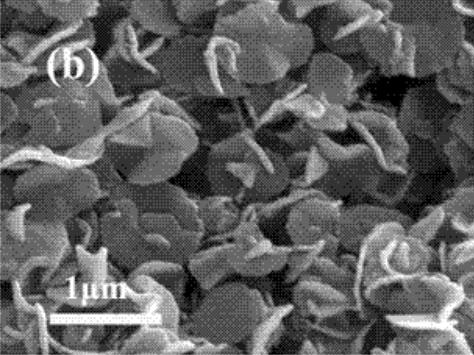 202009181450042393948.jpg 202009181450042393948.jpg