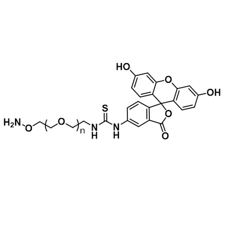 FITC-PEG-Aminooxy；荧光素PEG氨基氧基，Aminooxy-PEG-FITC