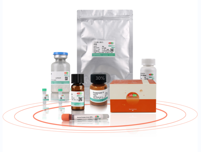 SCH 772984; SCH772984,942183-80-4