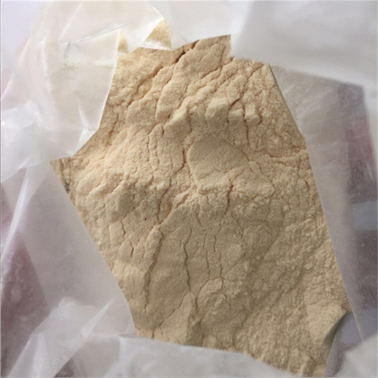 谷朊粉生产厂家