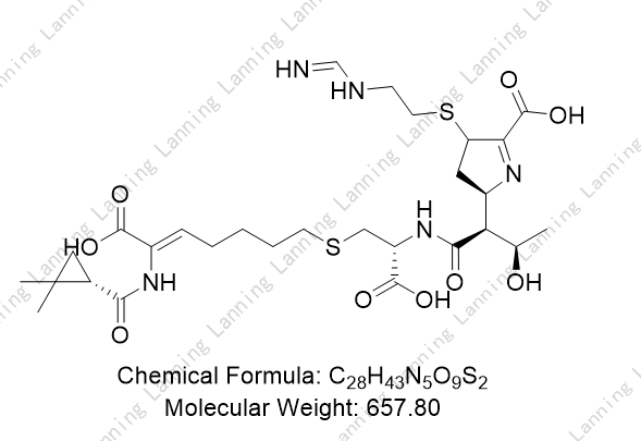 亚胺培南-西司他丁二聚体