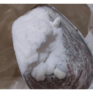 cas:593-51-1  一甲胺盐酸盐生产 ,一甲胺盐酸盐工厂