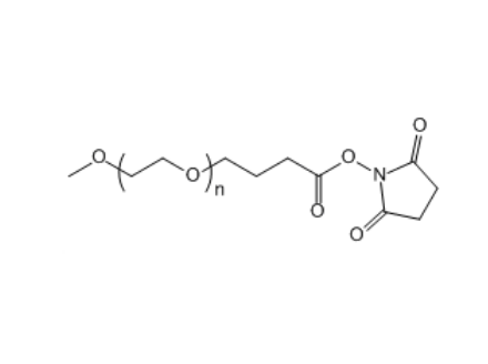 mPEG-SBA 甲氧基聚乙二醇-丁酸琥珀酰亚胺酯