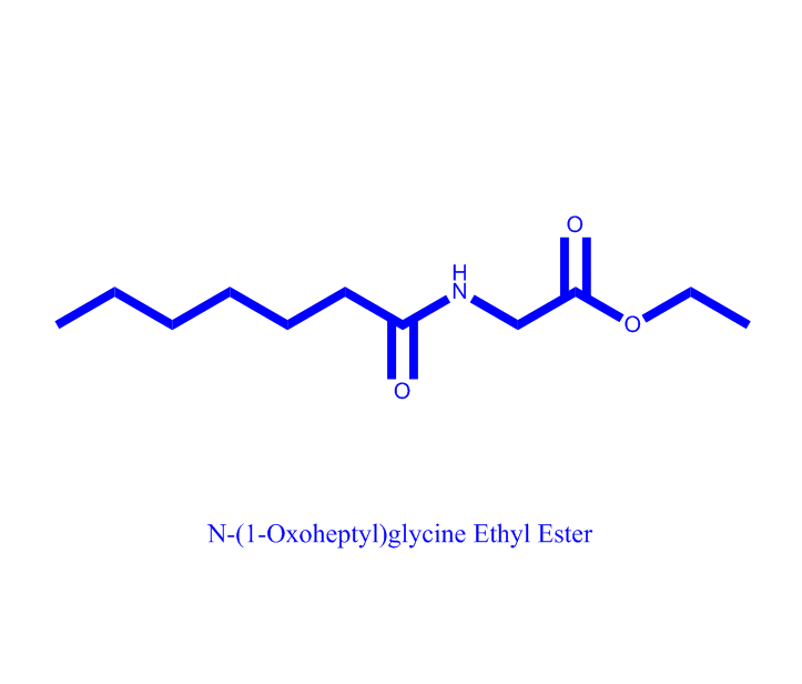 N-(1-Oxoheptyl)glycine Ethyl Ester 574010-47-2