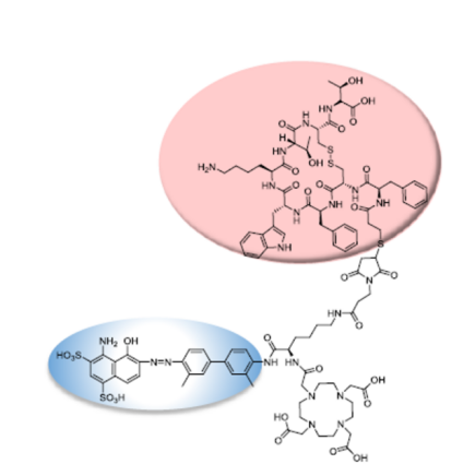 EB-DOTA-Octreotide