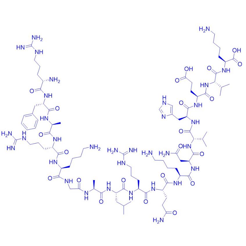 Protein Kinase C (19-35) Peptide 309247-48-1.png Protein Kinase C (19-35) Peptide 309247-48-1.png