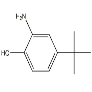 邻氨基对叔丁基苯酚 荧光增白剂 1199-46-8