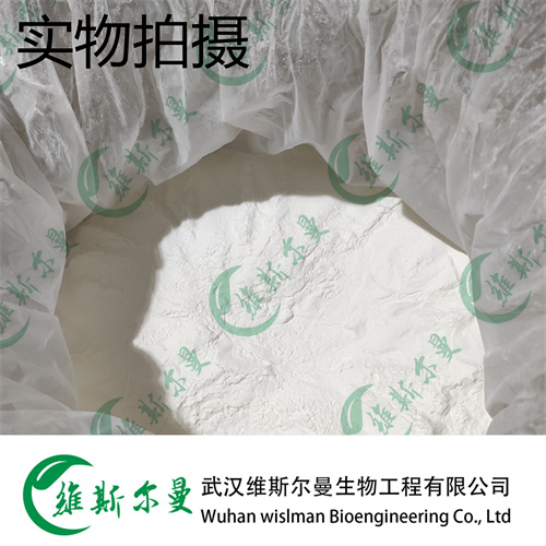 胃复安 364-62-5 维斯尔曼生物高纯试剂 13419635609