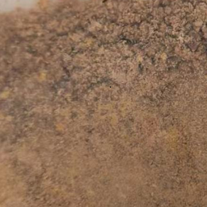 2-(6-氯吡嗪-2-基)乙酸 930798-25-7