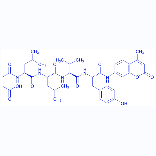 荧光底物多肽Suc-Leu-Leu-Val-Tyr-AMC/94367-21-2