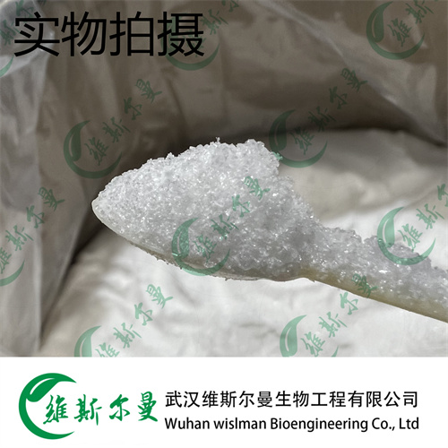 左旋多巴 59-92-7 维斯尔曼生物高纯试剂 13419635609