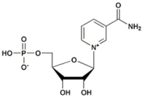 β-烟酰胺单核苷酸（NMN）