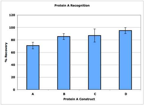 宿主细胞残留及Protein A检测试剂盒