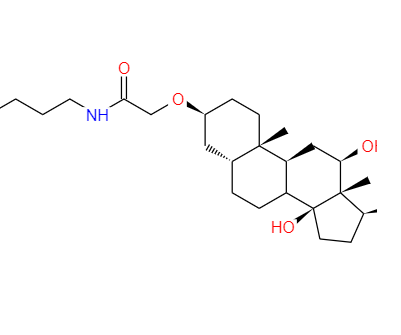 地高辛NHS酯 129273-26-3