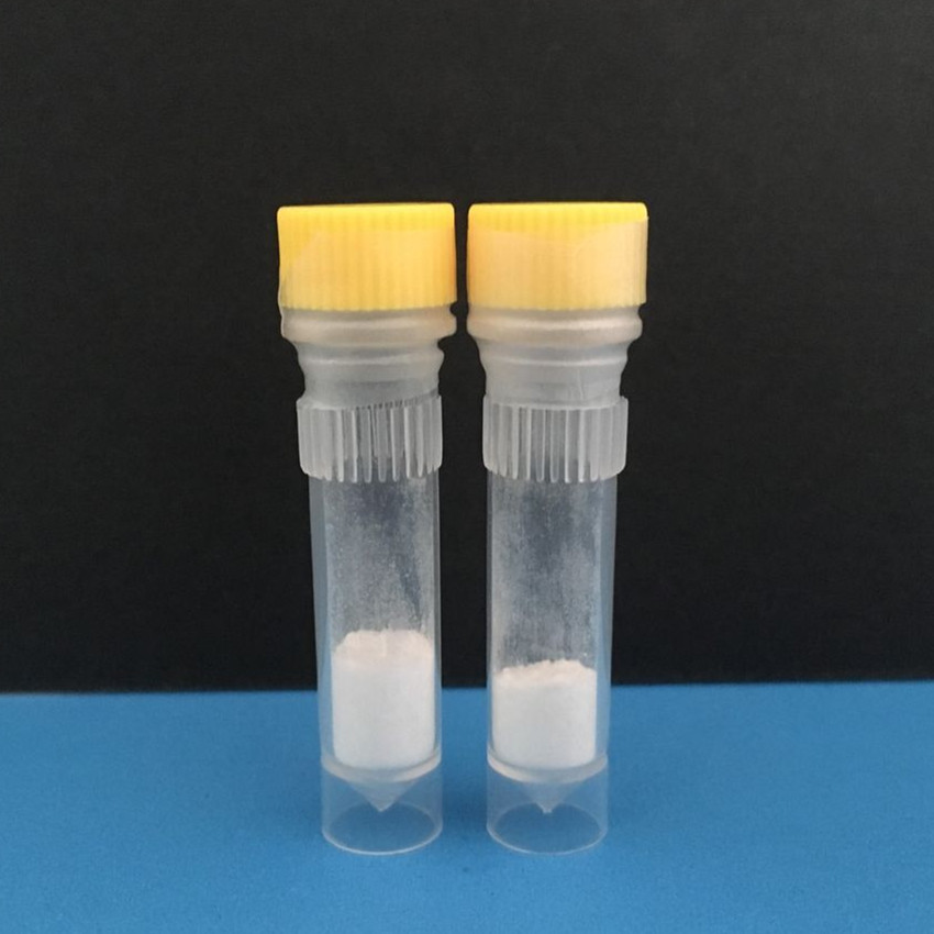 异冬谷酸SpagluMic acid