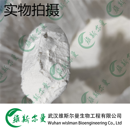 赖诺普利 83915-83-7 维斯尔曼生物高纯试剂 13419635609