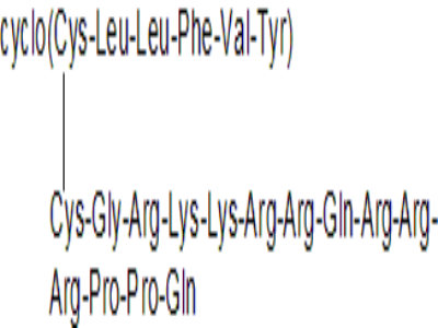 TAT-cyclo-CLLFVY