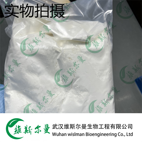 头孢西丁 35607-66-0 维斯尔曼生物高纯试剂 13419635609