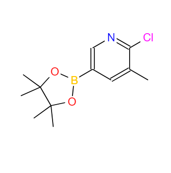 2-氯-3-甲基吡啶-5-硼酸频哪酯 1010101-07-1