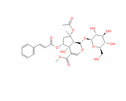 6-O-trans-Cinnamoylphlorigidoside B 1246012-25-8