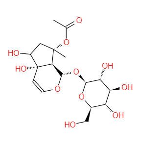6-表-8-O-乙酰基哈帕甙 97169-44-3