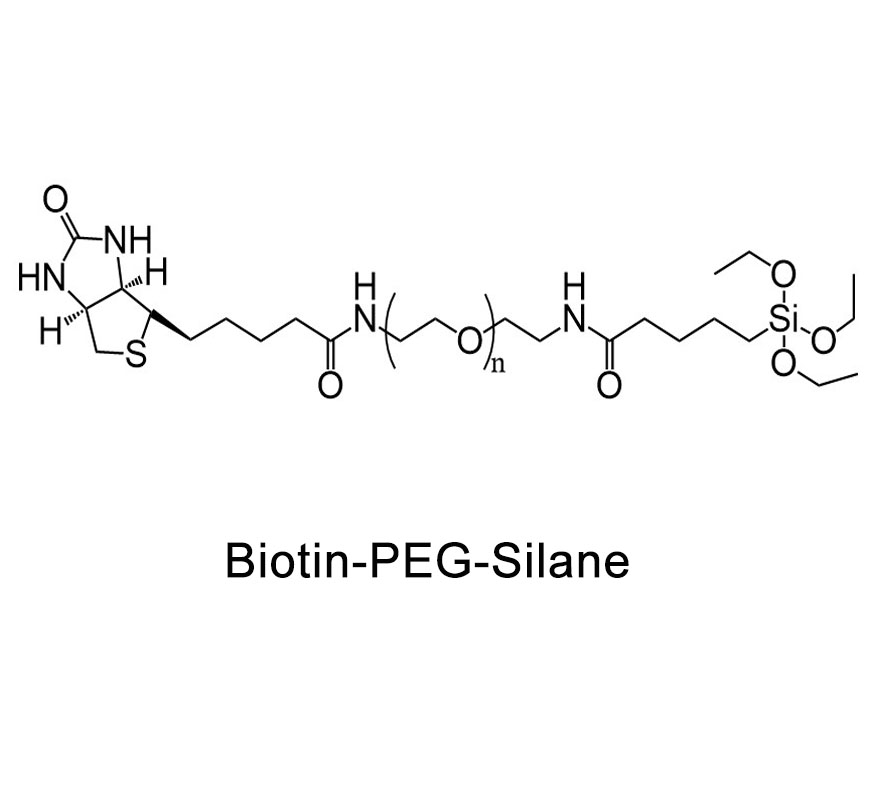 生物素-聚乙二醇-硅烷,Biotin-PEG-Silane/MAL/COOH